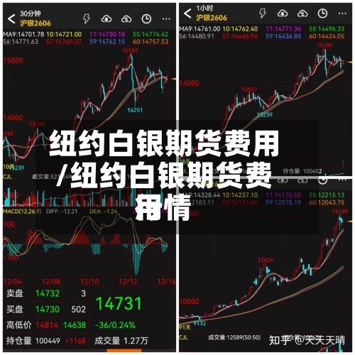 纽约白银期货费用
/纽约白银期货费用
行情-第2张图片