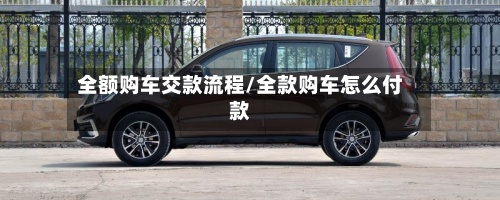 全额购车交款流程/全款购车怎么付款