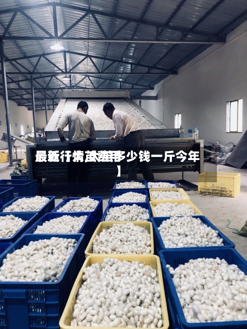 最近【大茧费用最新行情,大茧多少钱一斤今年】