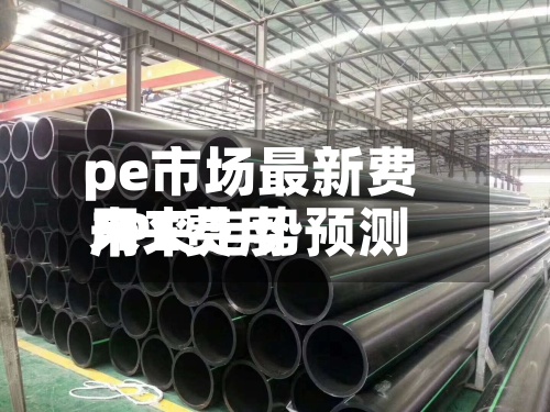 pe市场最新费用/PE费用未来走势预测-第2张图片