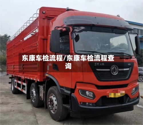东康车检流程/东康车检流程查询