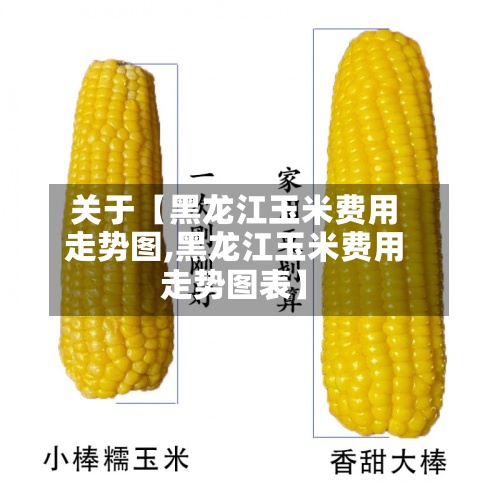 关于【黑龙江玉米费用走势图,黑龙江玉米费用走势图表】