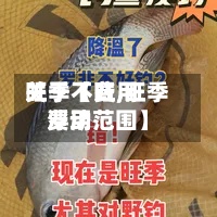 关于【费用旺季不旺,旺季费用浮动范围】