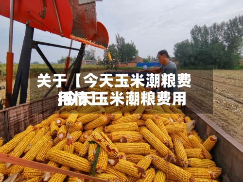 关于【今天玉米潮粮费用,今天玉米潮粮费用行情】