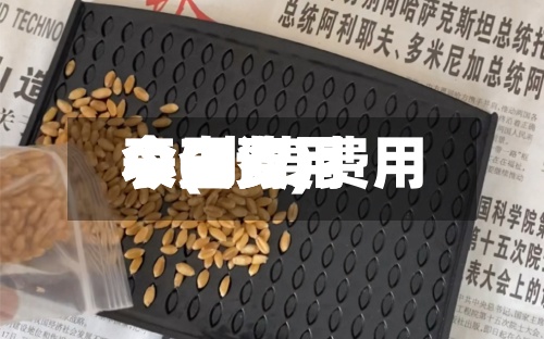 小麦费用
今日费用
表(小麦费用
今日费用
表查询)-第3张图片