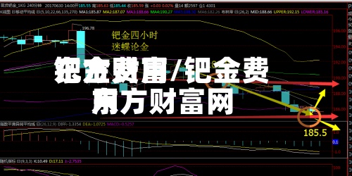 钯金费用东方财富/钯金费用东方财富网