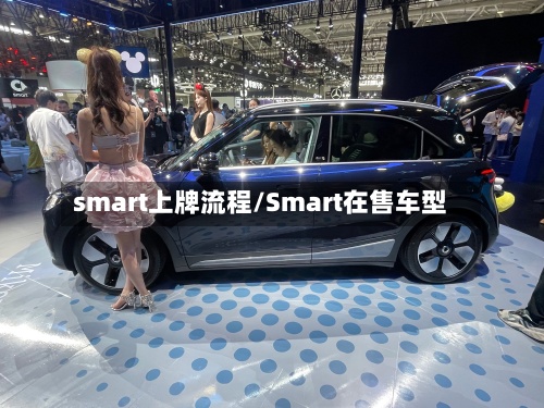 smart上牌流程/Smart在售车型