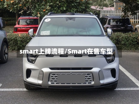 smart上牌流程/Smart在售车型-第3张图片
