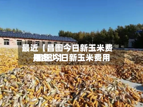 最近【昌图今日新玉米费用
,昌图今日新玉米费用
是多少】-第3张图片