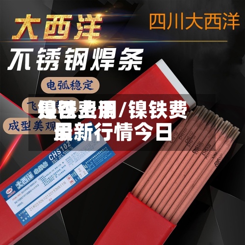 镍铁费用是否上调/镍铁费用最新行情今日