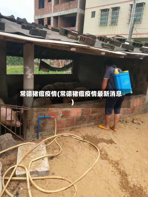 常德猪瘟疫情(常德猪瘟疫情最新消息)-第2张图片