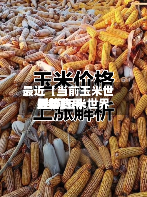 最近【当前玉米世界最新费用,当前玉米世界最新费用行情】