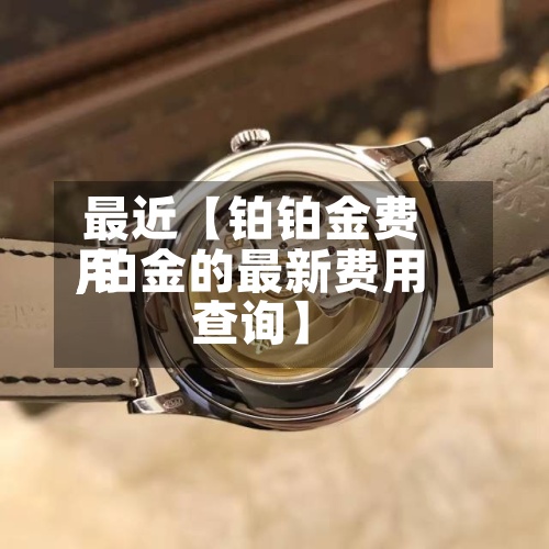 最近【铂铂金费用
,铂金的最新费用
查询】-第3张图片