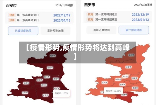 【疫情形势,疫情形势将达到高峰】