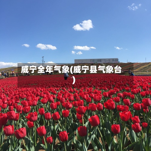 威宁全年气象(威宁县气象台)