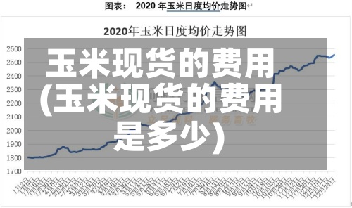 玉米现货的费用(玉米现货的费用是多少)-第2张图片
