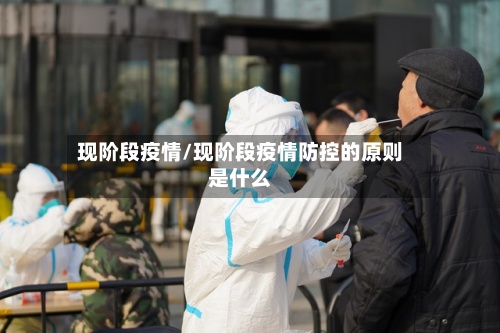 现阶段疫情/现阶段疫情防控的原则是什么