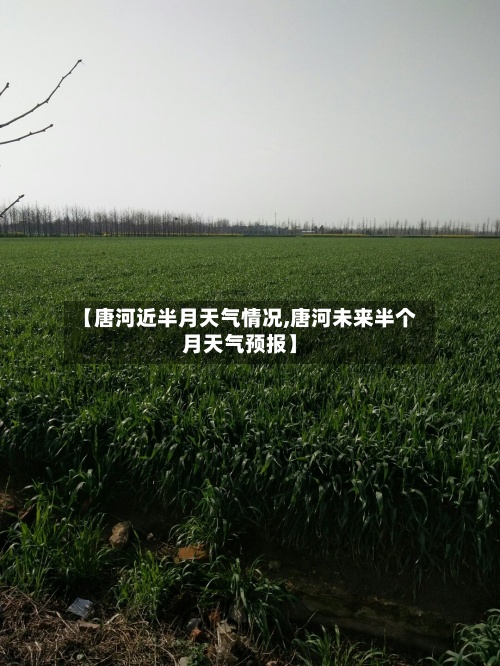 【唐河近半月天气情况,唐河未来半个月天气预报】
