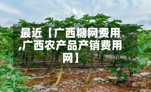 最近【广西糖网费用,广西农产品产销费用网】