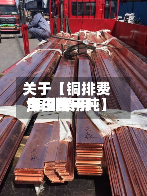 关于【铜排费用今日费用,铜排费用今日费用多少钱一吨】-第2张图片