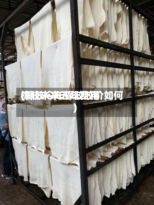 橡胶未来五年费用(橡胶今年橡胶胶价如何)