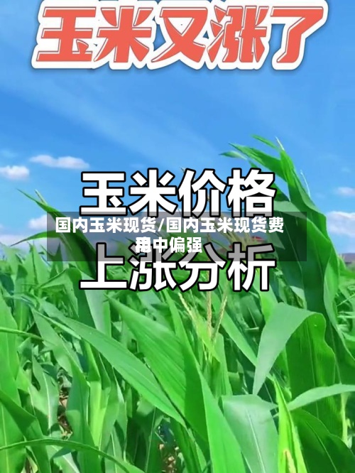 国内玉米现货/国内玉米现货费用稳中偏强-第2张图片