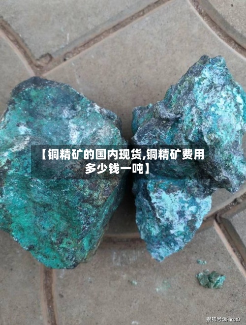 【铜精矿的国内现货,铜精矿费用多少钱一吨】-第2张图片