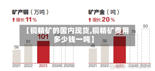 【铜精矿的国内现货,铜精矿费用多少钱一吨】-第3张图片