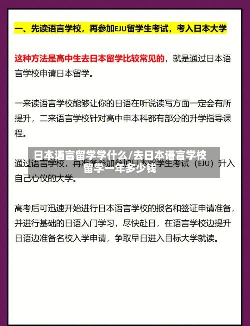 日本语言留学学什么/去日本语言学校留学一年多少钱-第3张图片