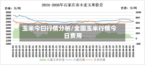 玉米今曰行情分析/全国玉米行情今日费用
-第2张图片