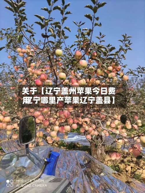 关于【辽宁盖州苹果今日费用
,辽宁哪里产苹果辽宁盖县】-第2张图片
