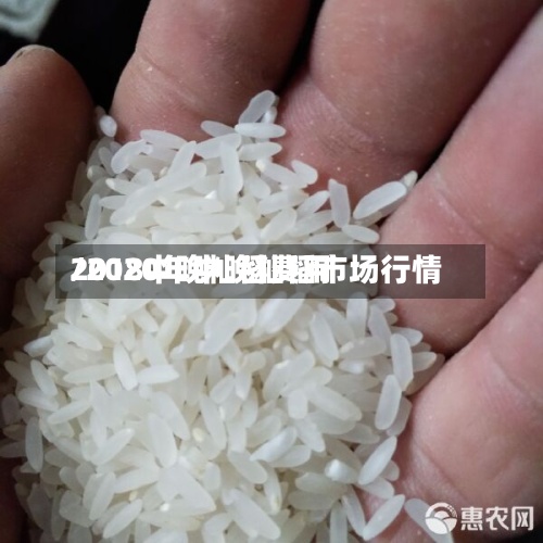 2018中晚籼稻费用
/2020年中晚籼稻市场行情-第2张图片