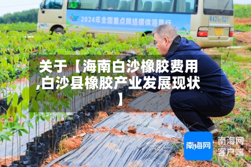 关于【海南白沙橡胶费用
,白沙县橡胶产业发展现状】-第2张图片