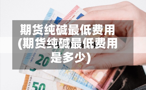 期货纯碱最低费用
(期货纯碱最低费用
是多少)-第2张图片