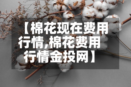 【棉花现在费用
行情,棉花费用
行情金投网】-第2张图片