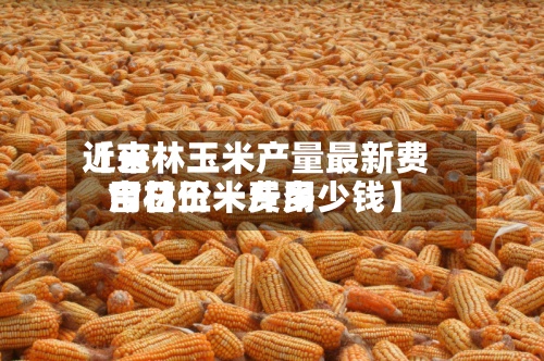近来【吉林玉米产量最新费用吉林玉米费用今日价一斤多少钱】
