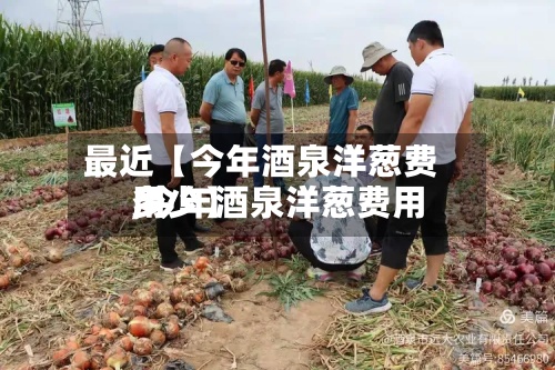 最近【今年酒泉洋葱费用
,今年酒泉洋葱费用
多少】-第2张图片