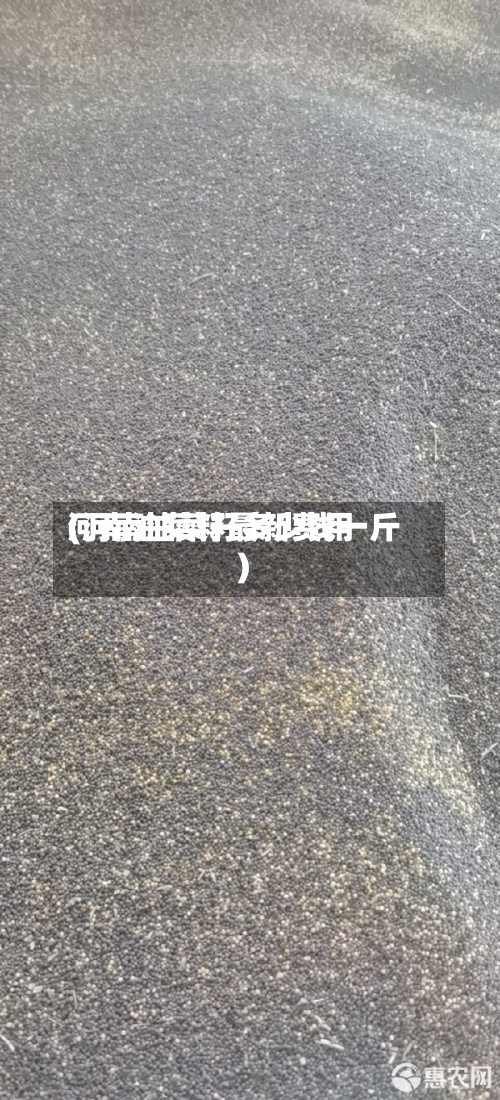 河南油菜籽最新费用
(河南油菜籽多少钱一斤)-第2张图片