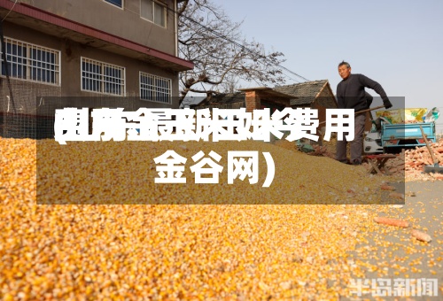 山东金玉米如今
费用
(山东最新玉米费用
金谷网)-第2张图片