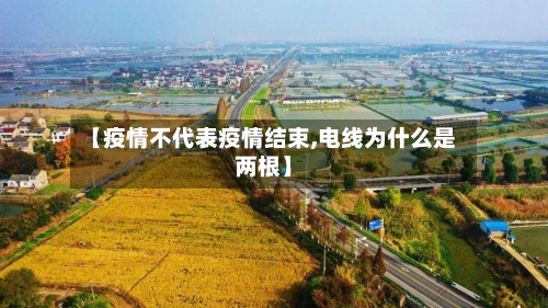 【疫情不代表疫情结束,电线为什么是两根】-第3张图片