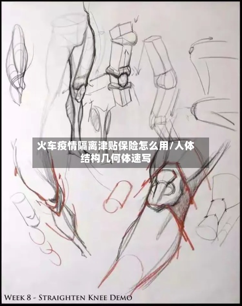 火车疫情隔离津贴保险怎么用/人体结构几何体速写-第2张图片