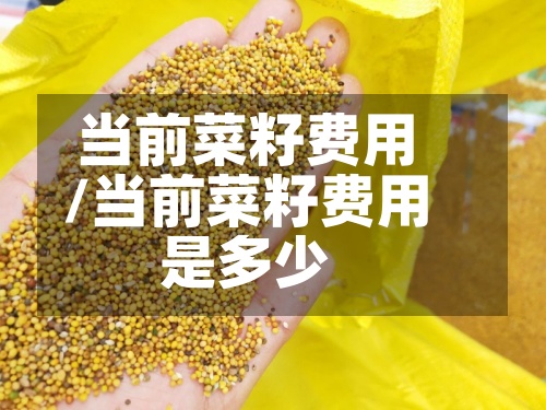 当前菜籽费用
/当前菜籽费用
是多少-第2张图片