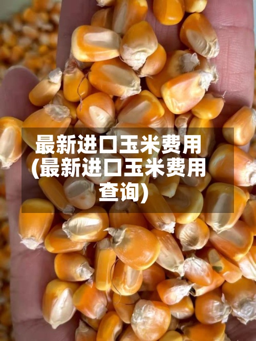 最新进口玉米费用(最新进口玉米费用查询)
