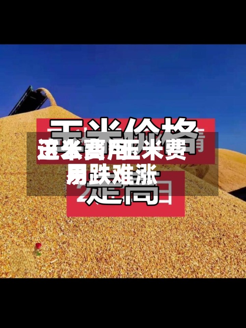 玉米费用这么高/玉米费用易跌难涨