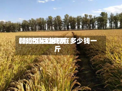 彰武玉米啥费用/彰武县玉米现在多少钱一斤