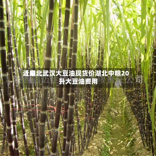 近来【湖北武汉大豆油现货价湖北中粮20升大豆油费用】