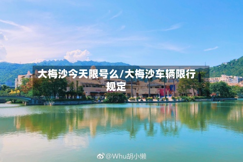 大梅沙今天限号么/大梅沙车辆限行规定-第3张图片