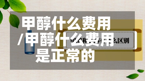甲醇什么费用/甲醇什么费用是正常的