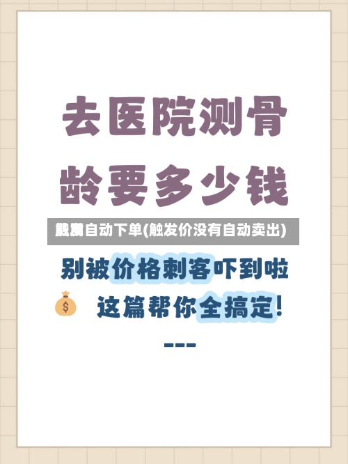 费用触发自动下单(触发价没有自动卖出)-第2张图片