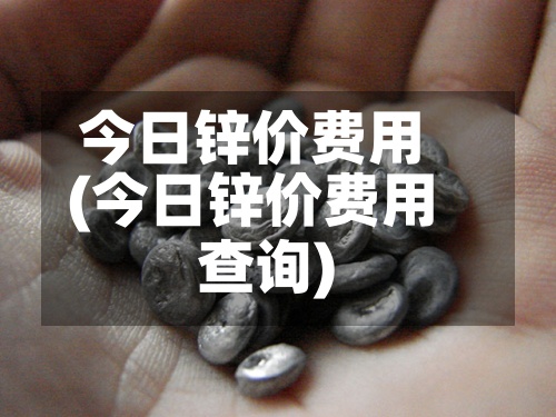 今日锌价费用(今日锌价费用查询)